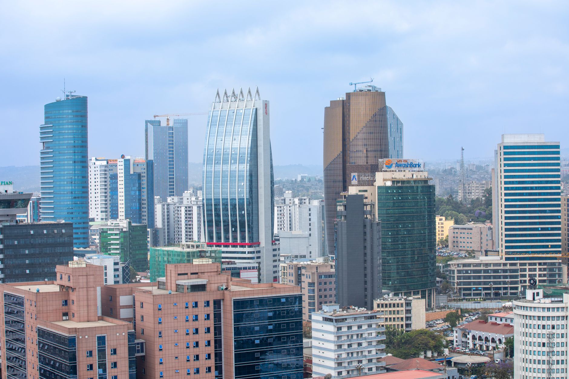 Cellulant Taps Ex-Xapo Bank Executive as COO Amid Africa Push