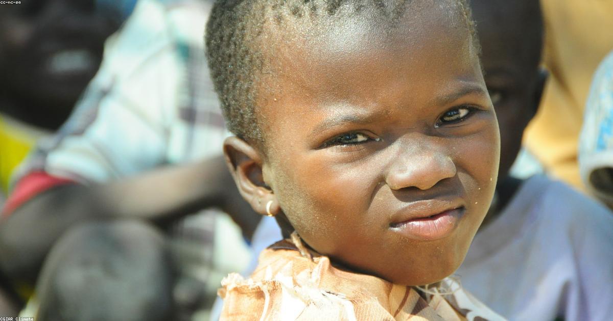 Ghana Pilots Land Equity Model to Boost Commercial Farming Access