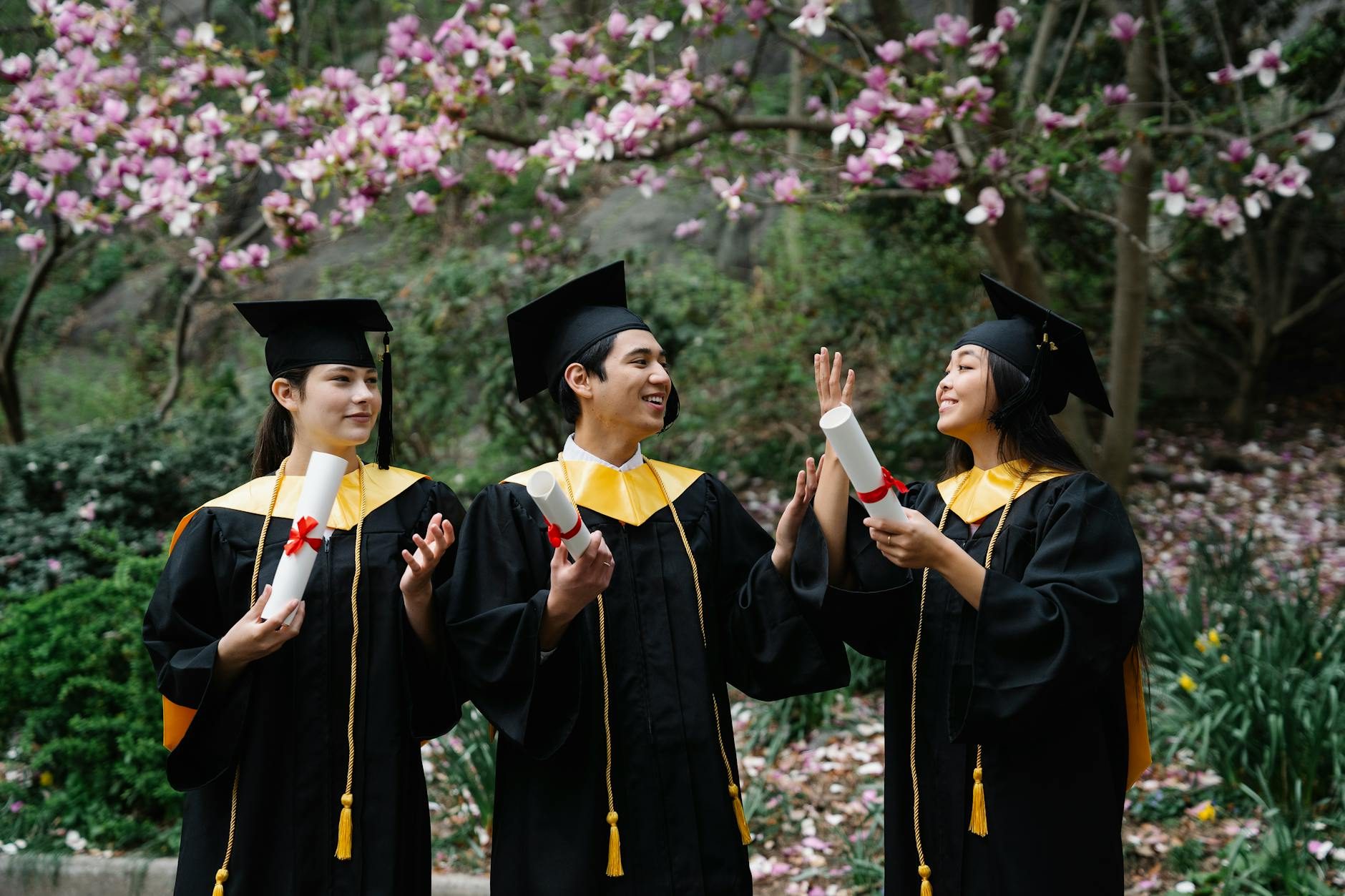 Free Learning Beats $100K Degrees: 9 Platforms That Actually Work