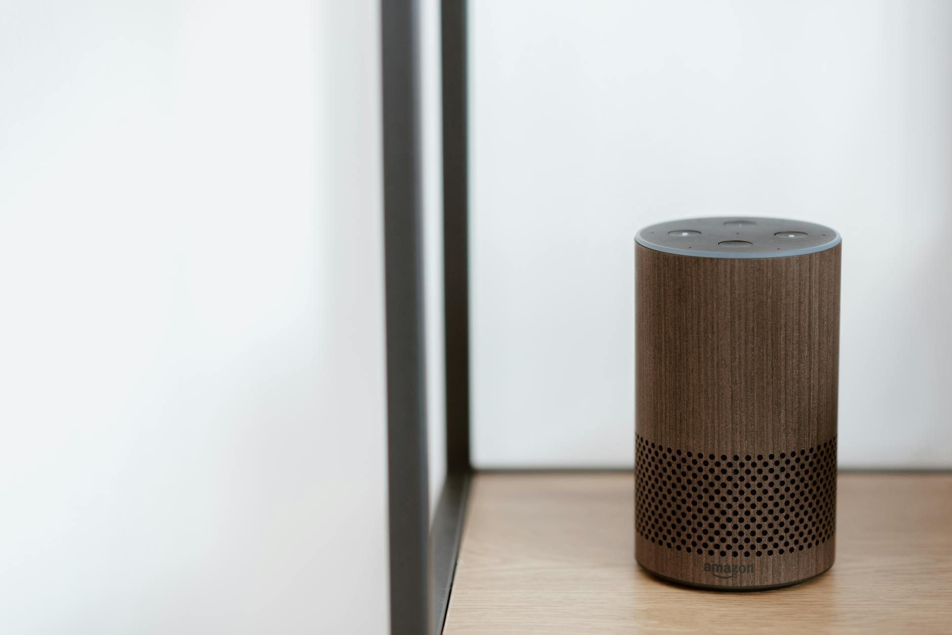 The $67 Smart Speaker That Became My Neighborhood's FBI Informant