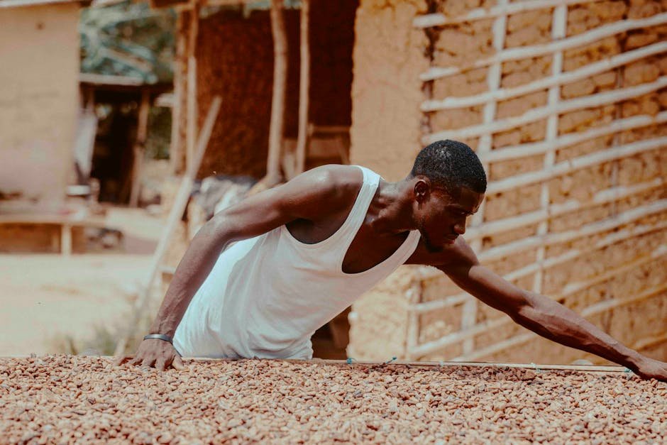 AkoFresh Launches Mobile Cold Storage to Cut Ghana Farm Losses