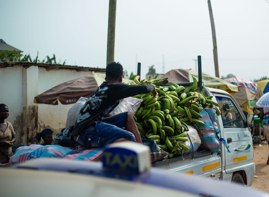 Ghana's 0.75% Mobile Money Transfer Fee Sparks Financial Inclusion Debate