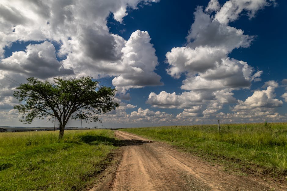 Africa Needs Unified Cloud Strategy, Not 54 Separate Solutions