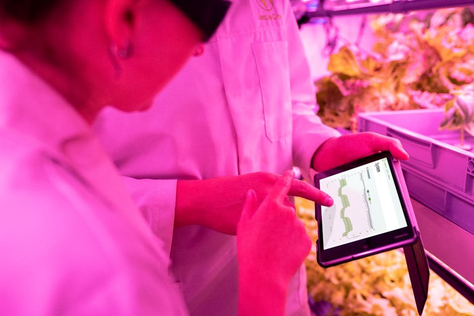 CSIR-INSTI Launches AI Suite for Ghana's Agriculture and Healthcare