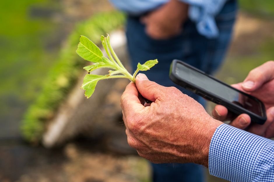 IFC Partners Absa Bank Ghana and Complete Farmer to Boost Agri-Finance